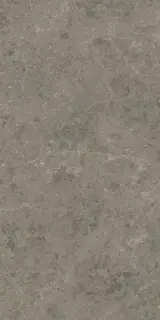 Marvel Meraviglia Grigio Elegante 60x120 Lappato