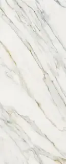 I Naturali СALACATA GOLD 120x300 5