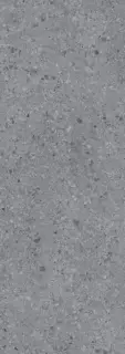 I Naturali Ceppo Di Brecciola Grigio Bocciardato 100х300 5