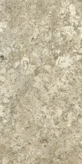 Forte Dei Marmi Quark Brazilian Gold 60x120 Grip