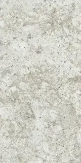 Forte Dei Marmi Quark Brazilian White Rett 60x120