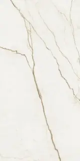 Forte Dei Marmi Quark Sahara Blanc Rett 60x120 Cerato