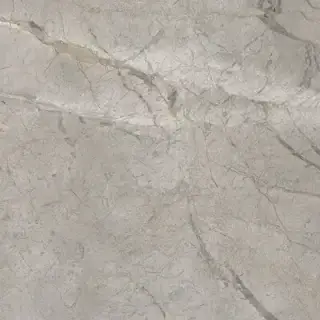 Elements Lux Silver Grey 60X60 Silk