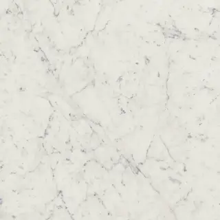 Charme Extra Carrara Ret 60x60/Шарм Экстра Каррара Рет 60х60 (610010001188)