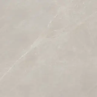 MYSTIC BEIGE L 120X120(A)
