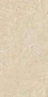 ODYSSEY CREAM REC.GLASS (T)C 60X120