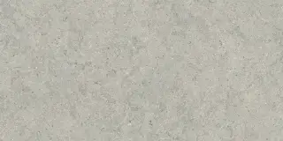 Форум Стоун Сильвер 60x120