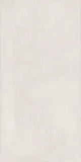 ELEMENT PLATINUM 60X120