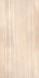 Royal Travertine beige 60x120