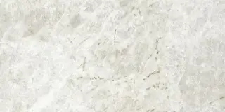 Energieker Полированный Imperial Taj Mahal Shell LCP L11TAJSH 60×120 см, керамогранит