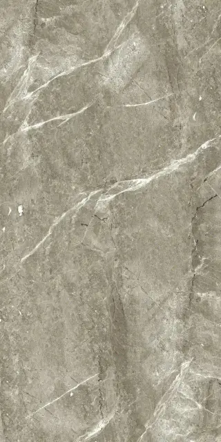 Керамогранит CBP5695M (60x120) 6 mm