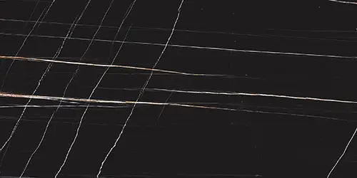 Stone 2.0 Sahara Noir Glossy 60x120