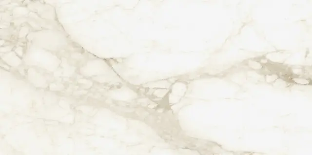 Michelangelo Warm 60x120