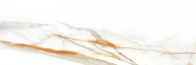 Calacatta Gold Matt 39.6x119.2