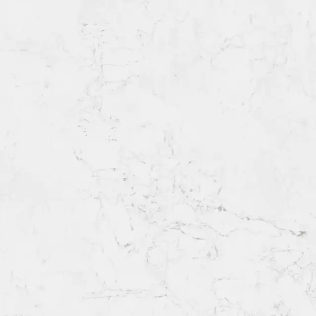 Fontana Polished 59.6x59.6