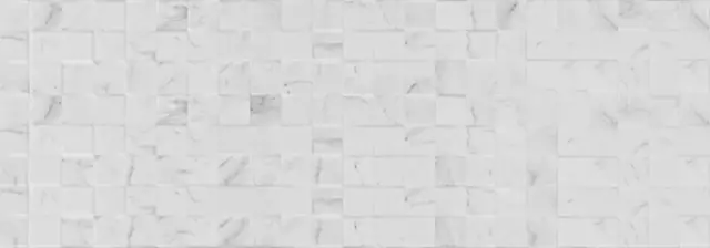 Mosaico Carrara Blanco Brillo 33.3x100