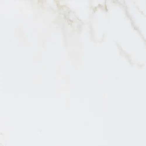 Persia Polished 59.6x59.6