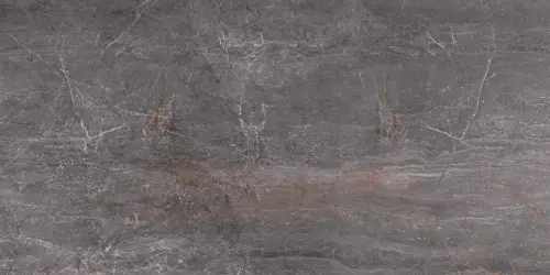 Fossil Piombo Polished 60x120