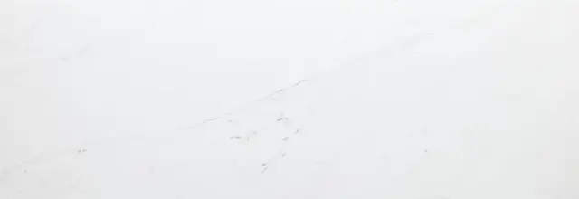 Rivoli Matt 33.3x100