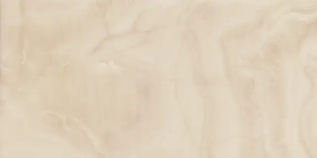 Charme Evo Onyx Nat 60x120