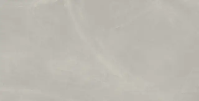 Continuum Silver 60x120