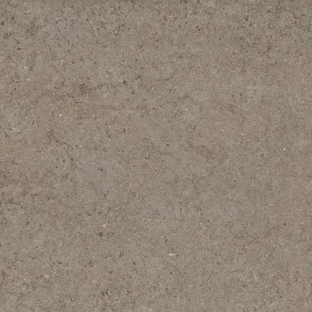 Discover Desert 60x60