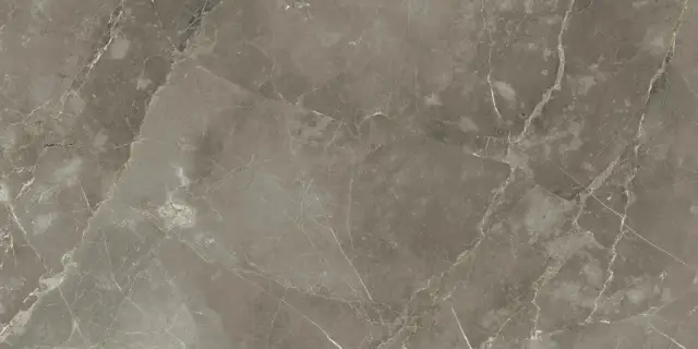 Stellaris Tuscania Grey 60x120