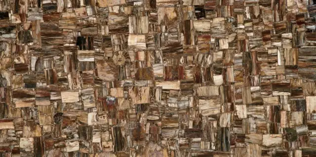 Petrified Wood (Party) (Compound With Granit)