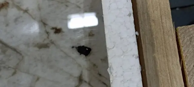 Nature Mood Tundra Glossy 6mm 120x280