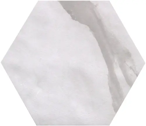 Roma Statuario Esagono Matt 25x21.6