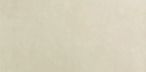Bloom Beige 80x160