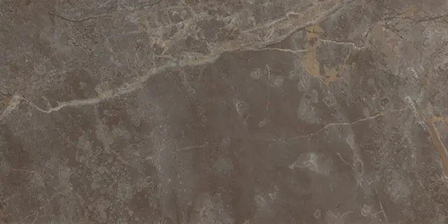 Roma Stone Pietra Brown Matt 60x120