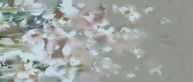 Color Mood Flowery Field 120x278