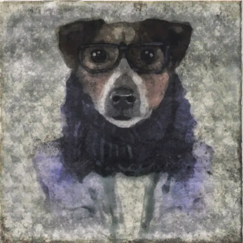 Decor Celebrity Mix Brillo 20x20