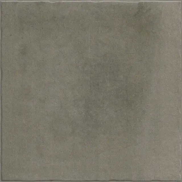 Nostalgy Anthracite 20x20