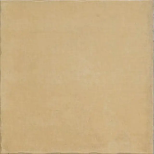 Barcelona Nostalgy Honey 20x20