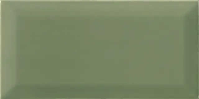 Bissel G-Olive 10x20