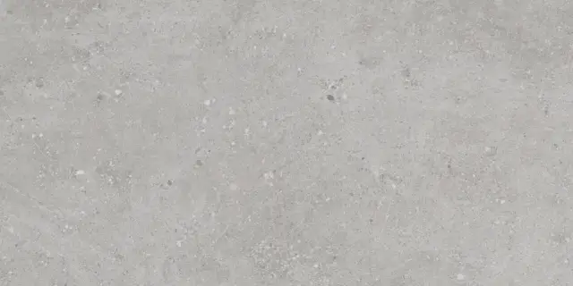 Flax Grey Matt 60x120