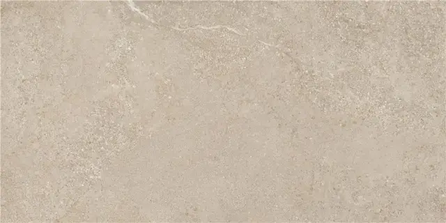 Arenite Natural Matt. 60x120