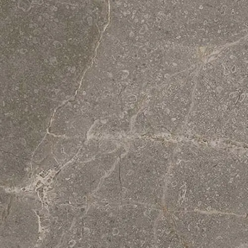 Allure Grey Beauty Bottone Lap 7.2x7.2