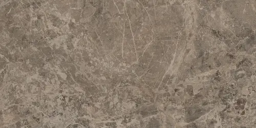 Victory Taupe 60x120