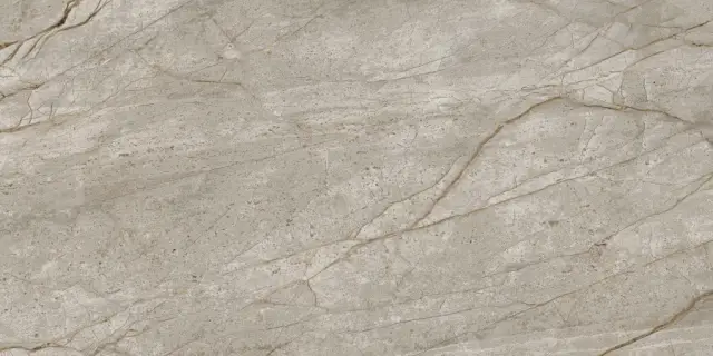 Empire Silver Root 60x120 Lap