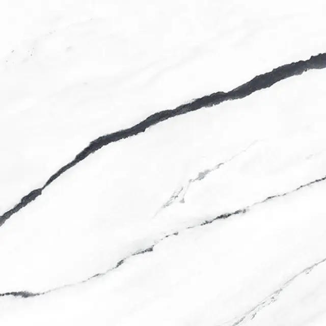 Forte Dei Marmi Panda White Matt 80x80