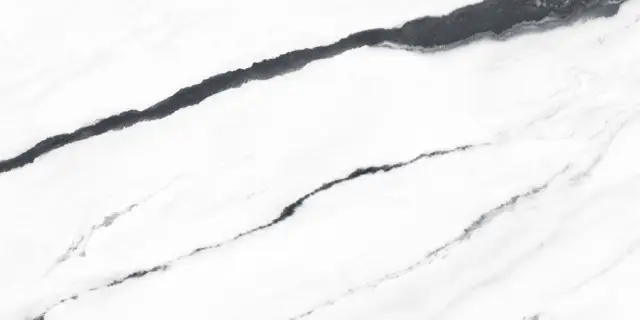 Forte Dei Marmi Panda White Honed Satin 60x120