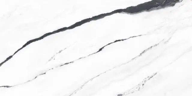 Forte Dei Marmi Panda White Matt 80x160