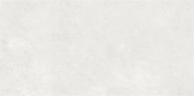 Newcon Белый Матовый R10a 60x120