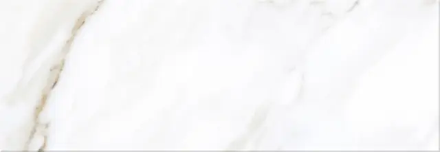 Calacatta Light 24.2x70