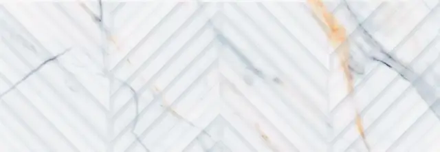 Calacatta Fantasy Struttura Linea 24.2x70