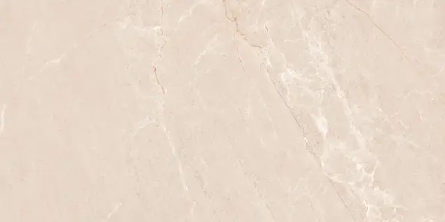 Persian Beige Matt 60x120