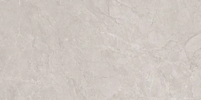 Aristo Grey Tm 60x120